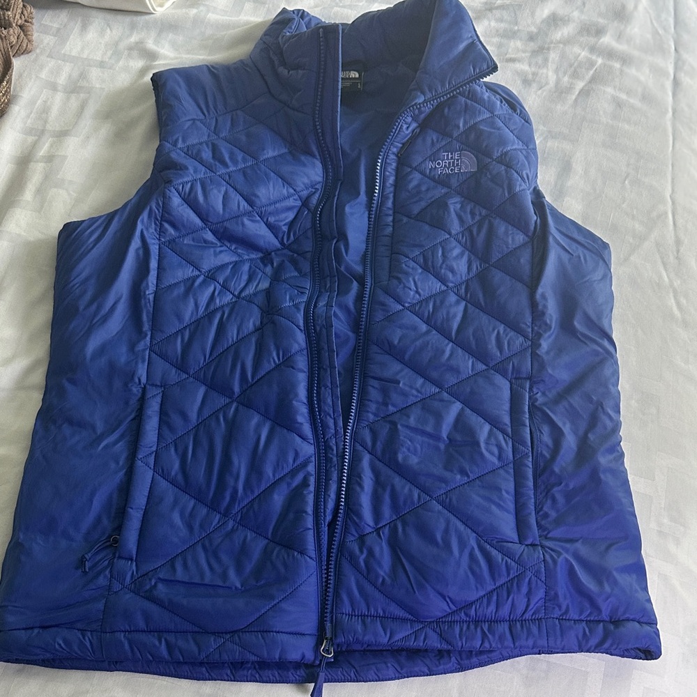 The North Face Blue Quilted Vest